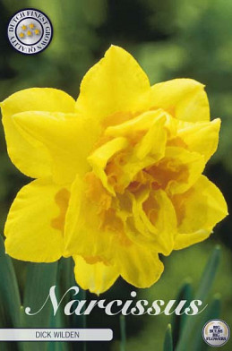 Narcis Double Dick Wilden x5 14/16