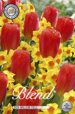 Blend Tulp/Narcis Willem Tell x20 12/14