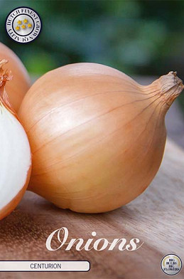 Onion Centurion 250 g I .