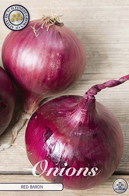 Onion Red Baron 250 g I .