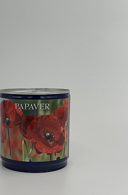 Zaad kweekset Papaver I .