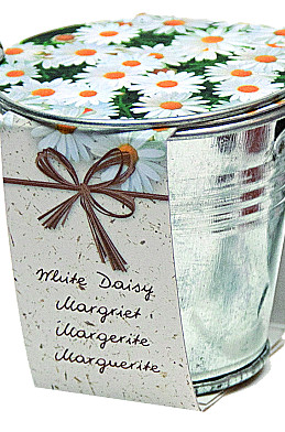 Bucket Margriet x36 I .