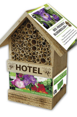 Bee Hotel (x 15  freesia ) .