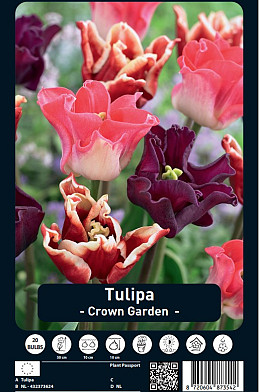 Tulipa Crown Garden x20 12/+