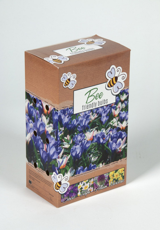 Bee flowerbulb collection ( crocus ,tulipa , allium , narcissus ) .