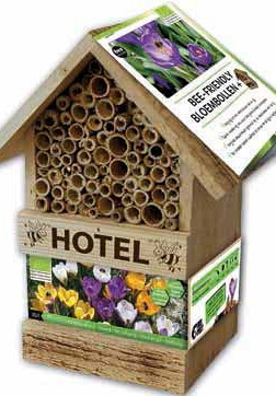 Bee Hotel  25 Crocus Botanical Mix .