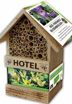 Bee Hotel 25 Tulp Tarda 6/7