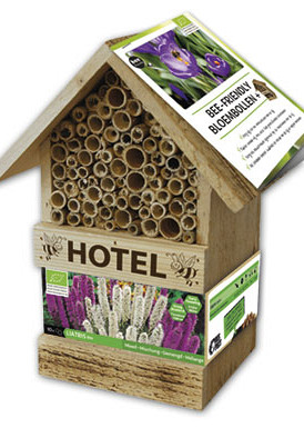 Bee Hotel ( x 10 Liatris ) .