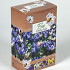 Bee flowerbulb collection ( crocus ,tulipa , allium , narcissus ) .