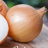 Onion Centurion 250 g I .