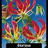 Gloriosa Rothschildiana x30 20/+