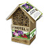 Bee Hotel (x 15  freesia ) .